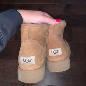 Short Chestnut UGG Boots